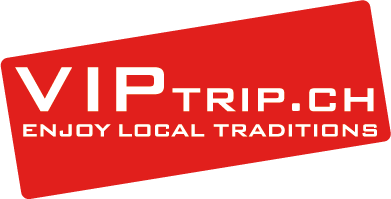 Referenz MMC: VipTrip (Logo, Webseite, SEO, Organisation)