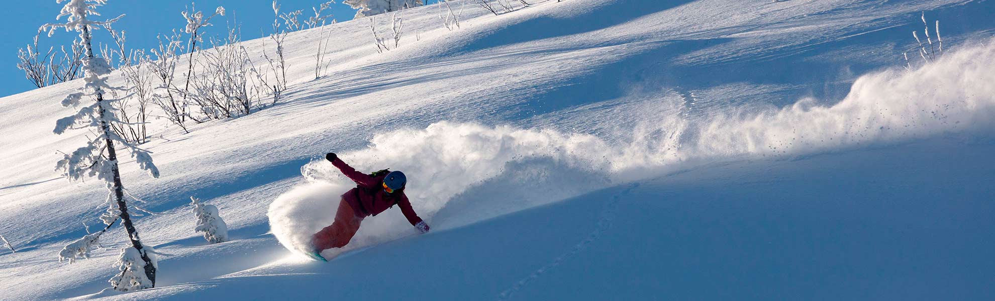 MMC Marketing Multimedia Consulting Schneider - wir gehen zusammen einen anderen Weg